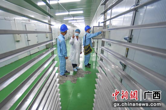 广西恭城：电力与瑶乡同美（图）