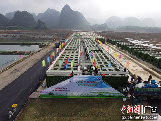 广西忻城陆基集装箱循环水生态养殖产业园投产