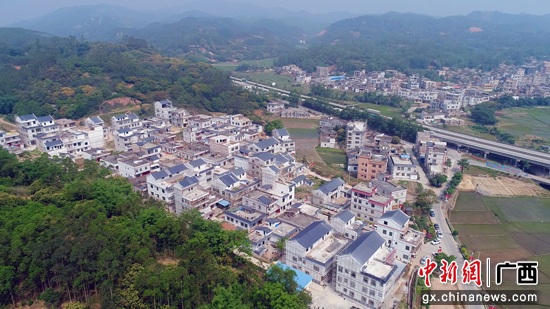 广西兴业：凝心聚力多措并举 全面推进乡村振兴