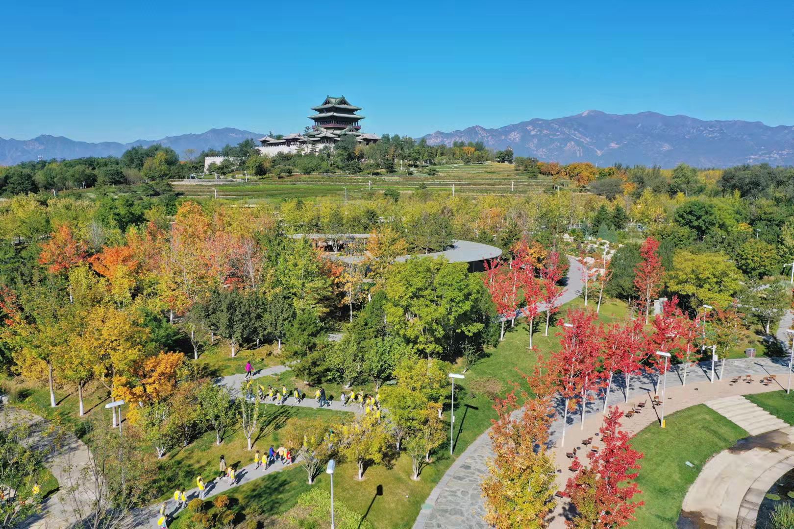 率先打翻北京秋天的“调色盘”，就是这里！