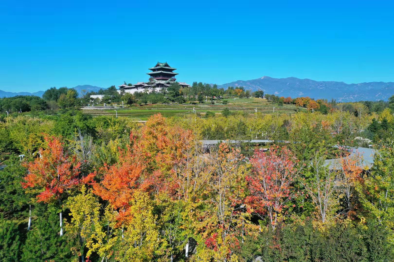 率先打翻北京秋天的“调色盘”，就是这里！