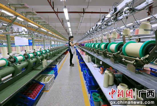 桑蚕产业“织就”横县农民致富路