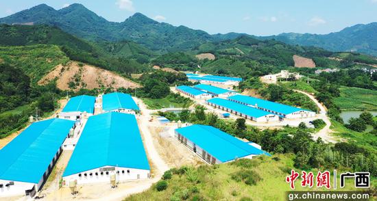 巴马招商引资一季度喜迎“开门红”