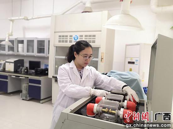 书写青春 不负韶华——记全国优秀共青团员戴诗宜