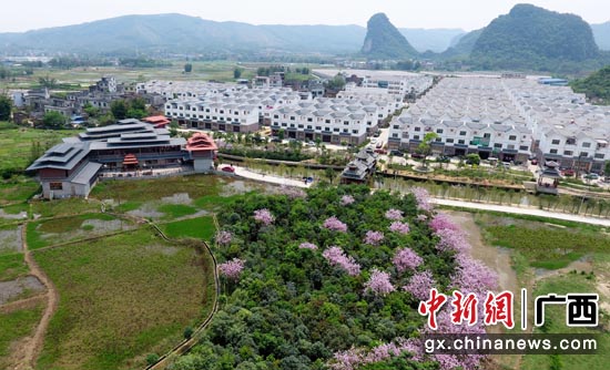 螺蛳粉小镇的