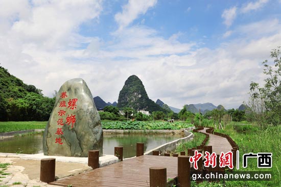 螺蛳粉小镇的