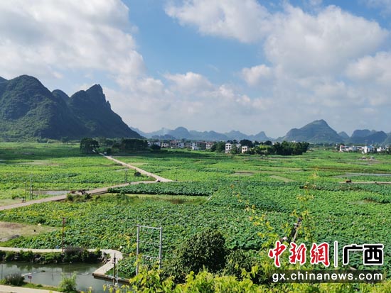 螺蛳粉小镇的