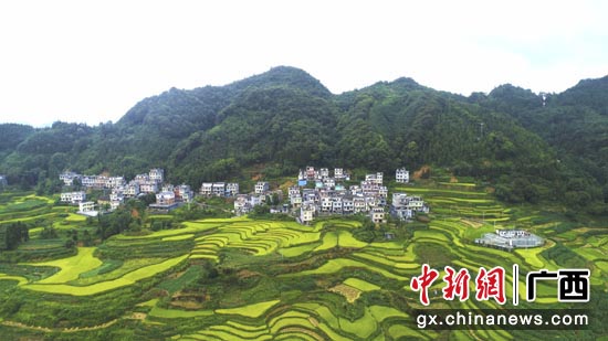 南方电网广西电网公司助力壮乡脱贫攻坚获表彰