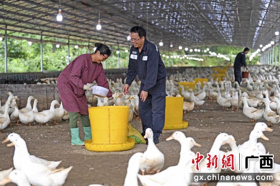 南方电网广西电网公司助力壮乡脱贫攻坚获表彰