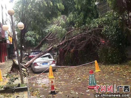 狂风暴雨来袭 崇左供电部门紧急抢修受损线路