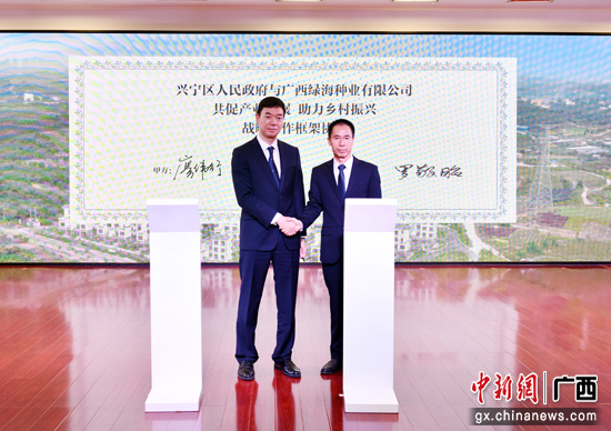 南宁兴宁区推动产业发展助力乡村振兴