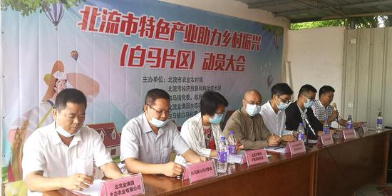 广西北流将大力推广泰国青柚种植