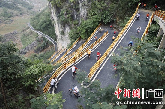 凌云举办“两会一赛”：骑游乡村路 细品长寿白毫香