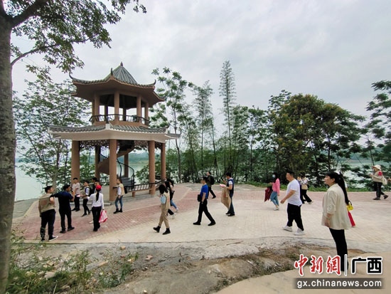 港南区冲口屯：先锋引领凝聚合力 “空巢村”美丽“蜕变”