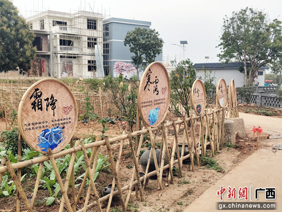 港南区冲口屯：先锋引领凝聚合力 “空巢村”美丽“蜕变”