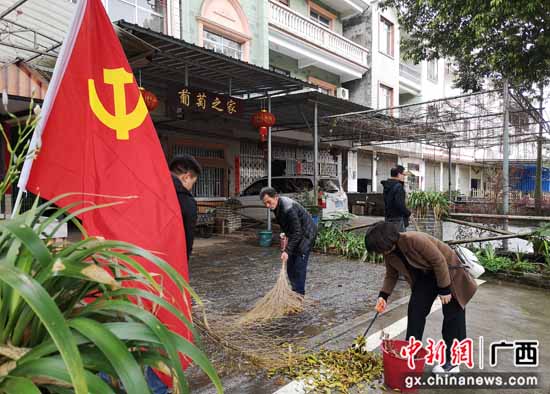 桂林灵川县大圩镇学史力行 党员干部助力乡村振兴