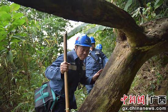 木棉花落绿叶生——记国旗巡线班第三代班长傅金荣