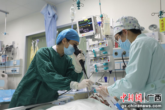 饲养或接触鸟类和家禽 小心鹦鹉热衣原体肺炎