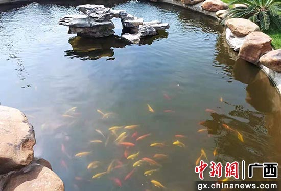中石化北海炼化从用水大户变为节水大户