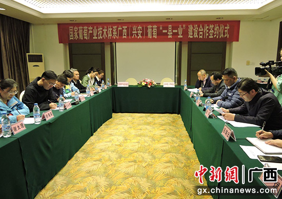 国家葡萄产业技术体系与桂林兴安县签约 推动产业转型升级