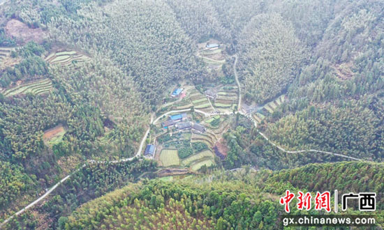 桂林临桂区驻村书记宋冬生：走在大山里的“领舞书记”