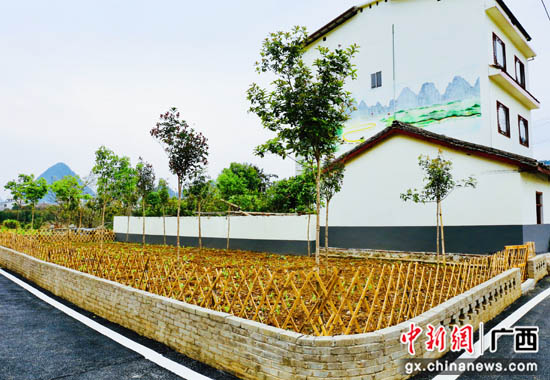 桂林阳朔县“比学赶超”跑出精品示范村
