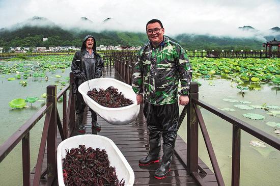 扎根乡土振兴经济 上林县积极实施创业致富带头人培育工程