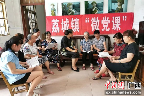 广西荔浦市荔城镇“五微党建”促乡村振兴添动能