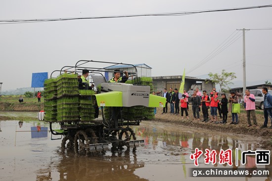 象州：抛秧神器助力春耕