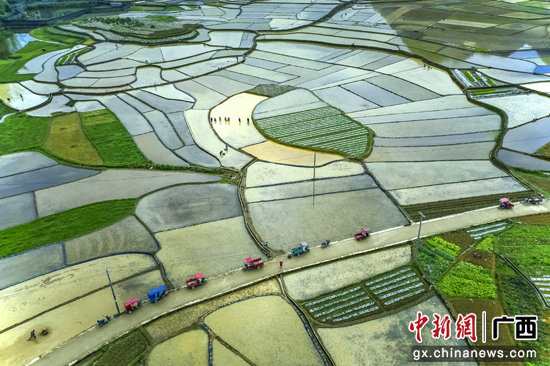广西东兰县：描绘醉美春耕图