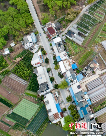 桂林灵川县大圩镇漓东沿线乱搭乱盖整治取得成效