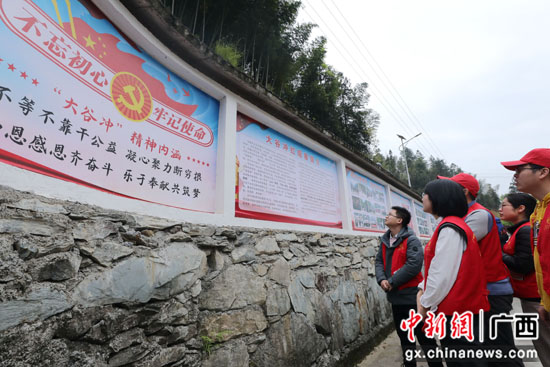 南溪山医院党团员到龙胜植树造林助力乡村振兴