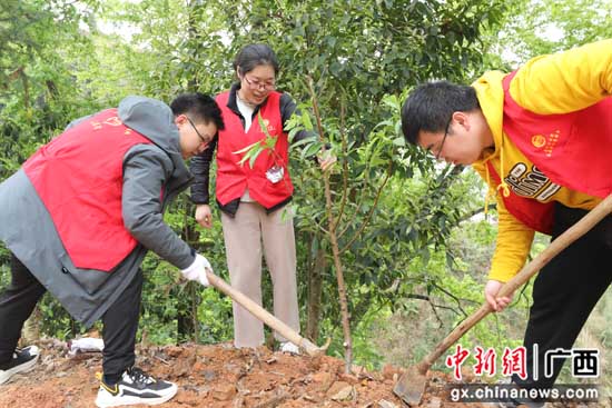 南溪山医院党团员到龙胜植树造林助力乡村振兴