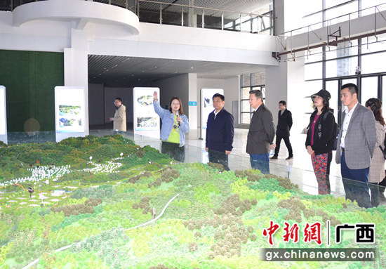 深圳市标准促进会到巴马调研“圳品”企业工作