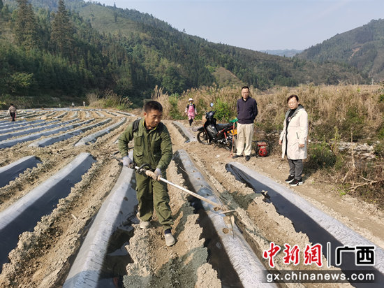 朝里乡九联村那荷屯烟农正在使用背负式打孔机进行钻膜打孔 百色农机中心供图 百色凌云:小农机大作为 春耕时节显身手