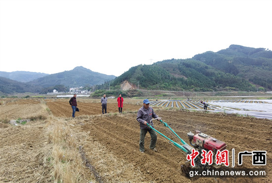 朝里乡九联村那荷屯烟农正在使用小型开沟培土机进行起垄作业 百色农机中心供图 百色凌云:小农机大作为 春耕时节显身手