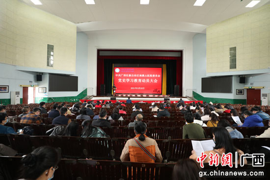 南溪山医院召开党史学习教育动员大会