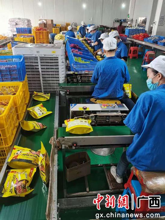广西鹿寨导江：党建引领做“竹”文章 产业富民下“竹”功夫