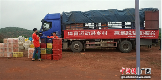南宁邕宁区第四届“探秘邕宁”之山地自行车定向赛收官