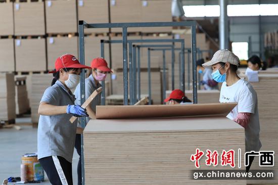 广西鹿寨推动林产业实现规模化高端化 实现百亿飞跃