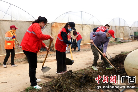 广西-东盟经开区开展志愿服务活动 助力乡村振兴