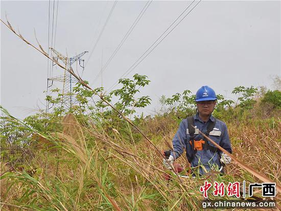 崇左供电局携手山村单位联防联治山火 共护青山绿水