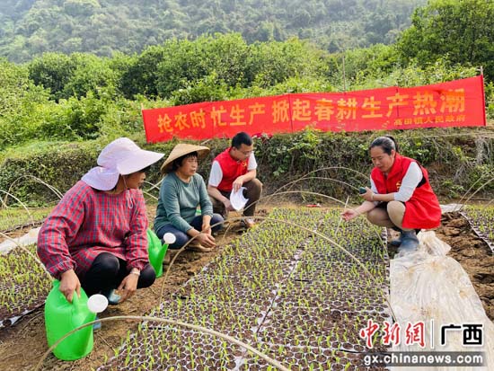 “红马甲”成阳朔乡村风貌提升战场上的风景线