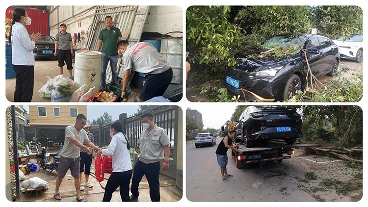 东风风神新能源：混动技术引领，新征程蓄势待发