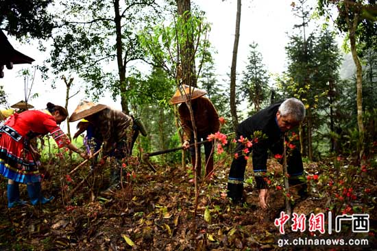龙胜开展“学党史重走长征路 感党恩共振兴乡村”主题活动