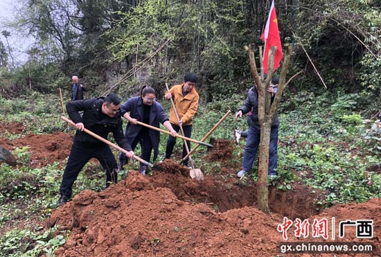 广西桂林平乐县开展全民植树活动