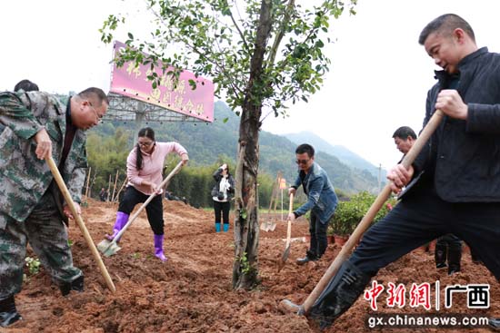 广西桂林平乐县开展全民植树活动