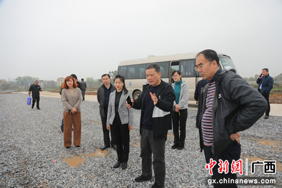 桂林叠彩区打造“三微” 把大树下的“小日子”过成诗