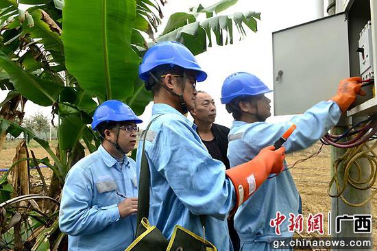 崇左供电公司及时紧急升级变压器为千余亩毛豆“解渴”