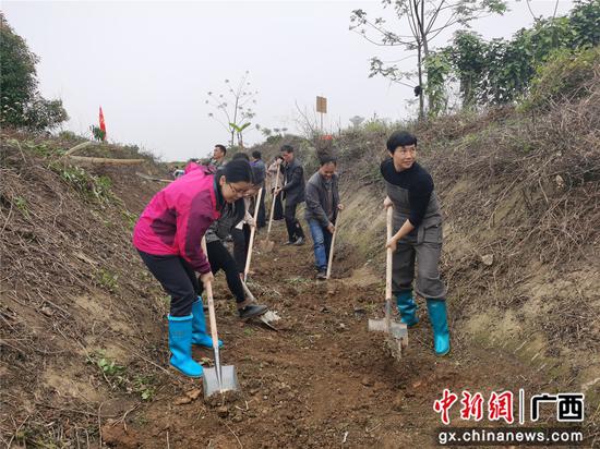 横县栽花植树修水利 兴产助农促振兴
